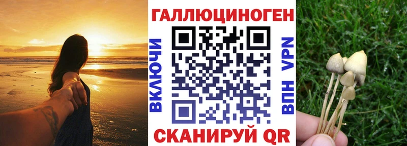 где купить наркоту  Кувандык  блэк спрут вход  Галлюциногенные грибы Psilocybine cubensis 